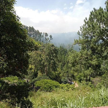 New Rose Villa Bandarawela เอลลา ภายนอก รูปภาพ