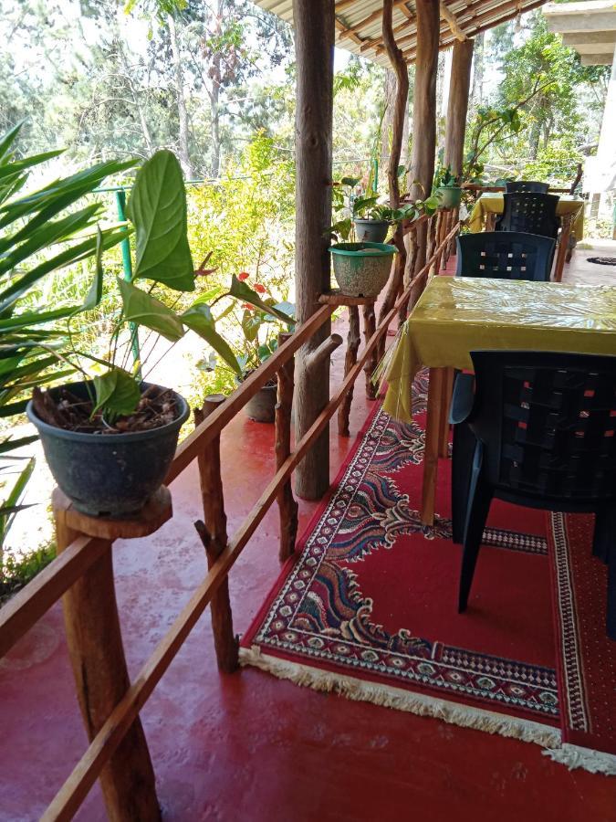 New Rose Villa Bandarawela เอลลา ภายนอก รูปภาพ