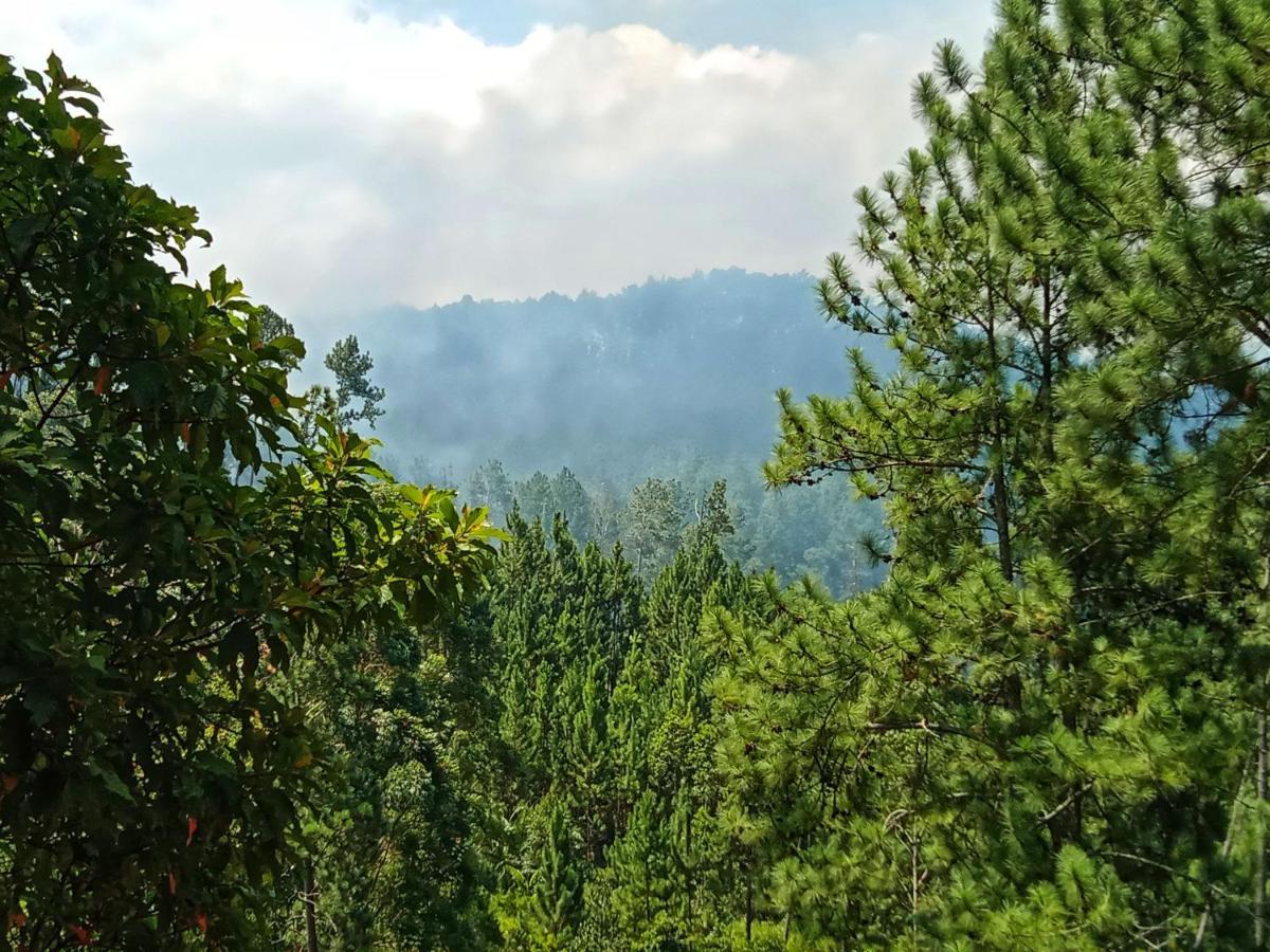 New Rose Villa Bandarawela เอลลา ภายนอก รูปภาพ
