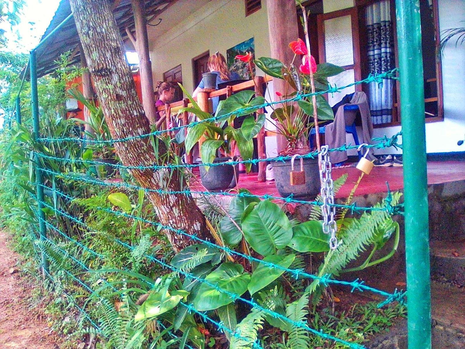New Rose Villa Bandarawela เอลลา ภายนอก รูปภาพ
