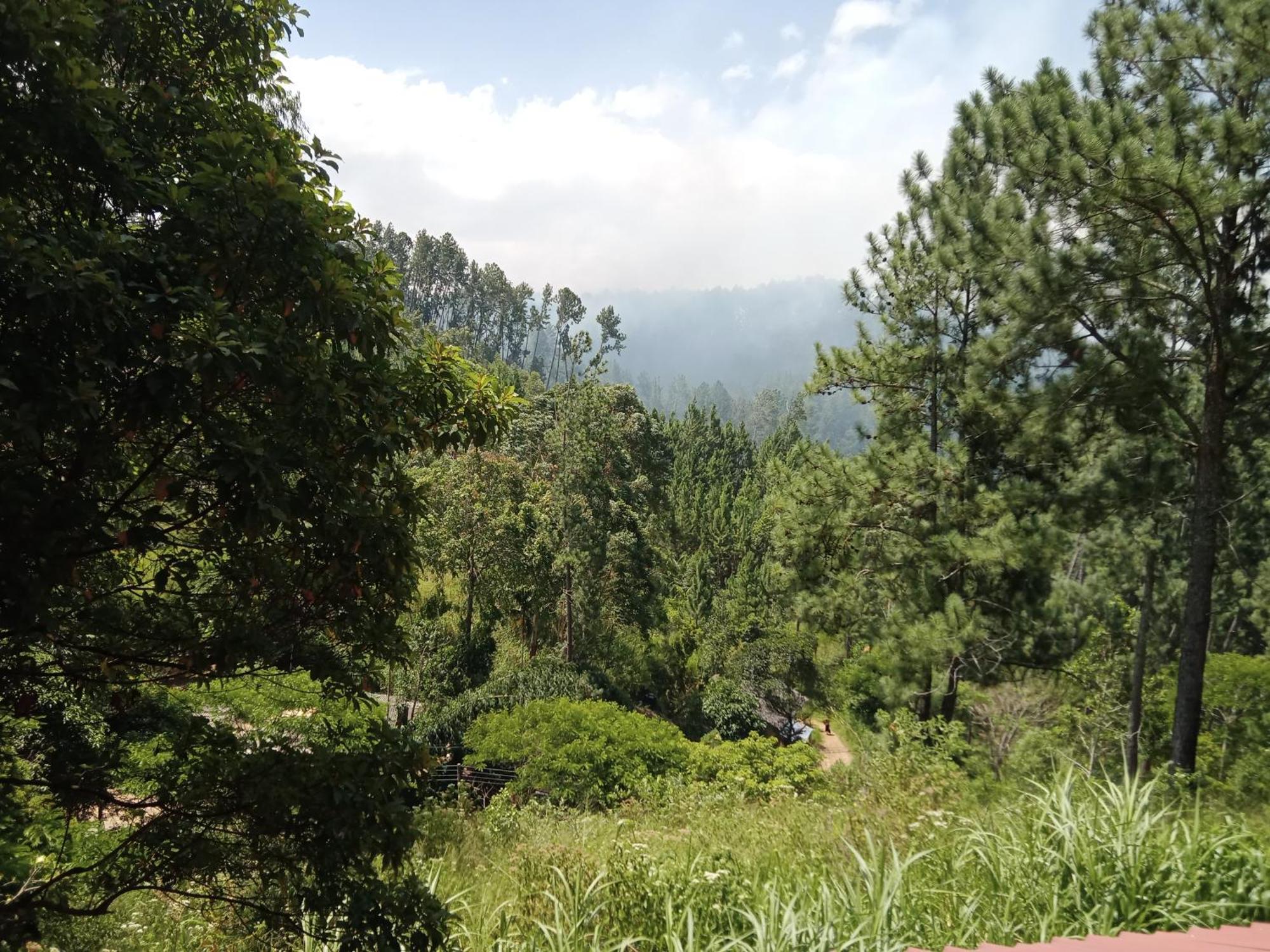 New Rose Villa Bandarawela เอลลา ภายนอก รูปภาพ