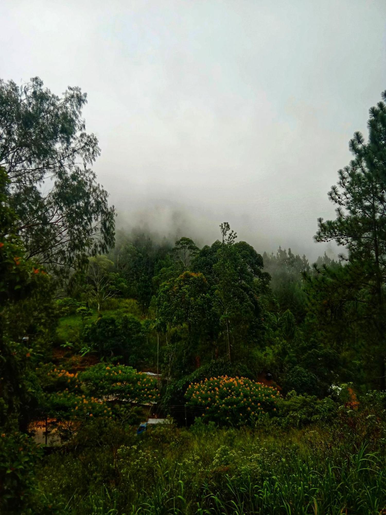 New Rose Villa Bandarawela เอลลา ภายนอก รูปภาพ