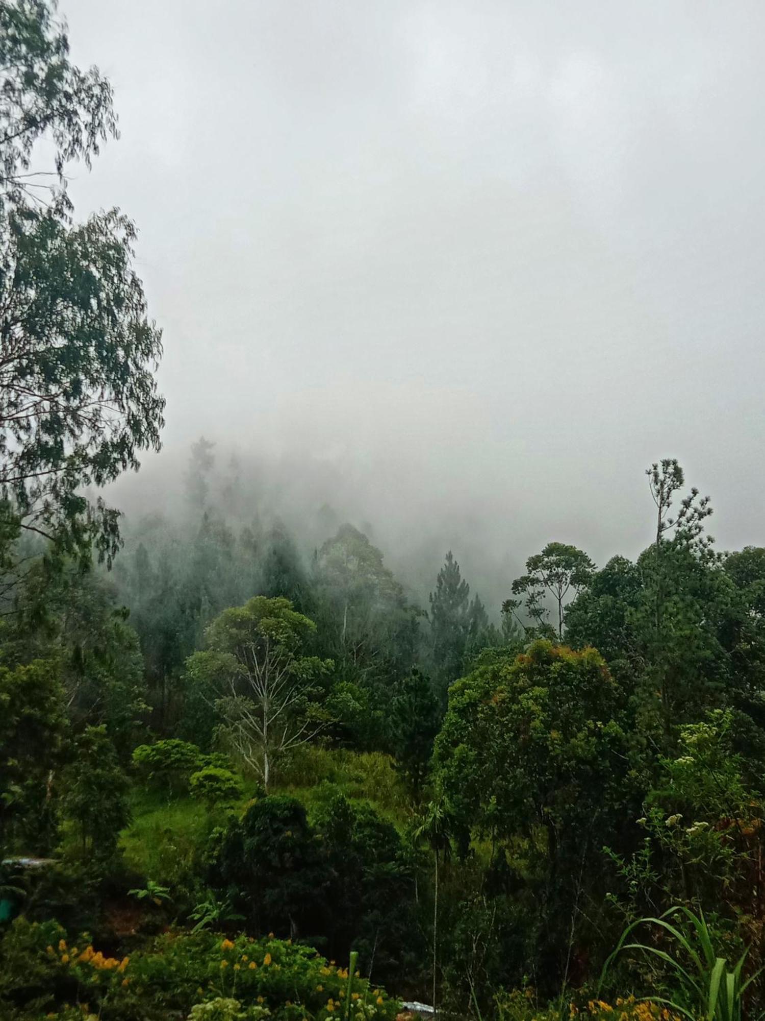 New Rose Villa Bandarawela เอลลา ภายนอก รูปภาพ
