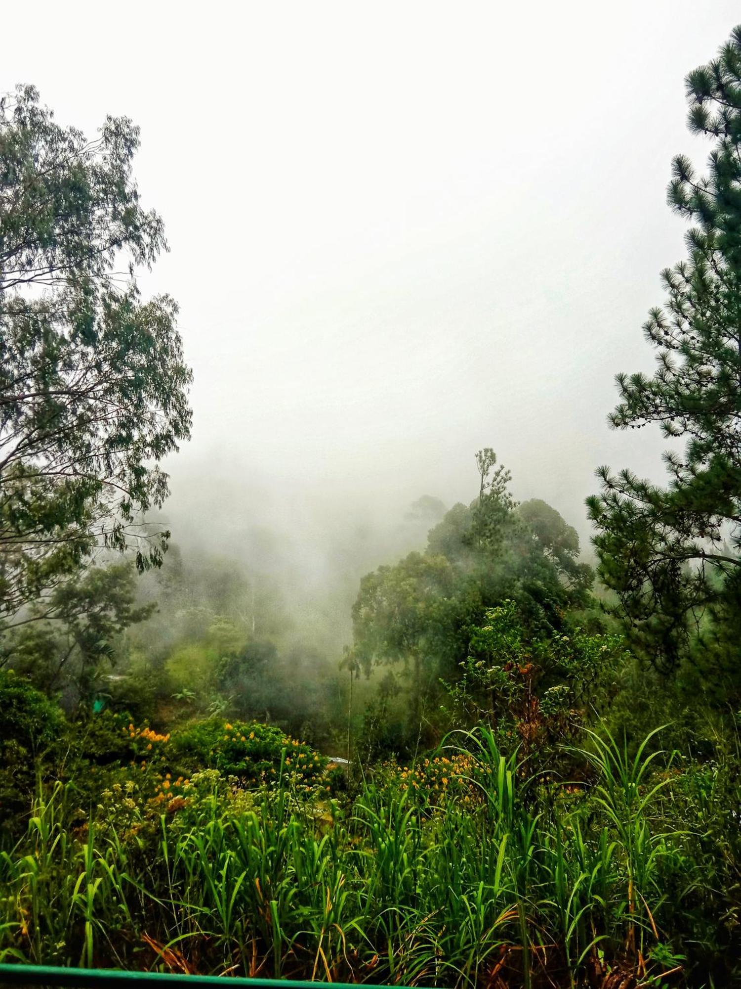 New Rose Villa Bandarawela เอลลา ภายนอก รูปภาพ