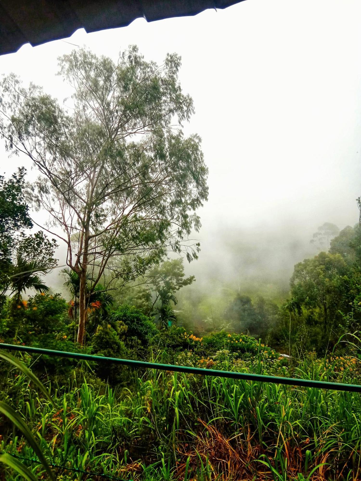 New Rose Villa Bandarawela เอลลา ภายนอก รูปภาพ