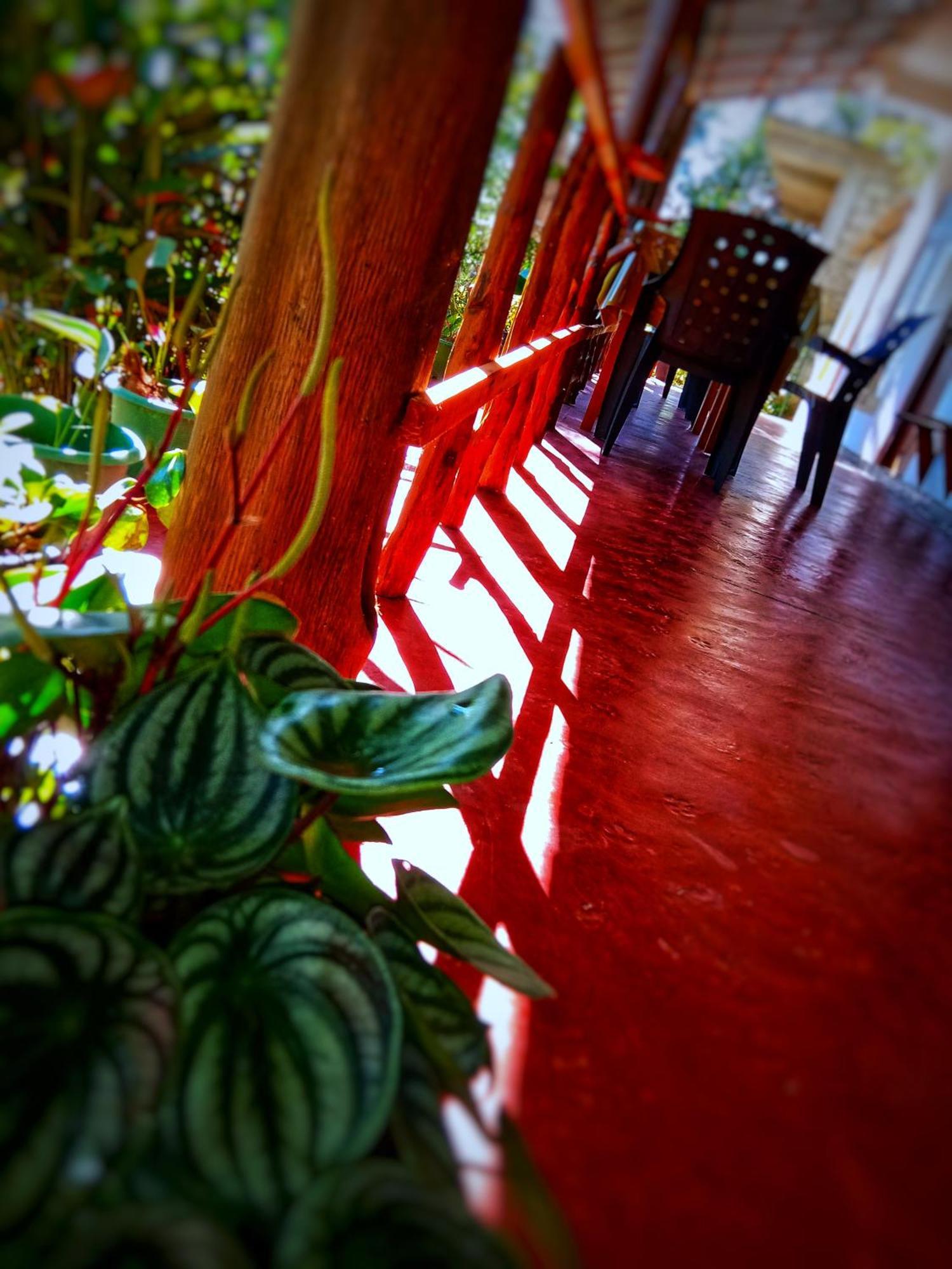 New Rose Villa Bandarawela เอลลา ภายนอก รูปภาพ