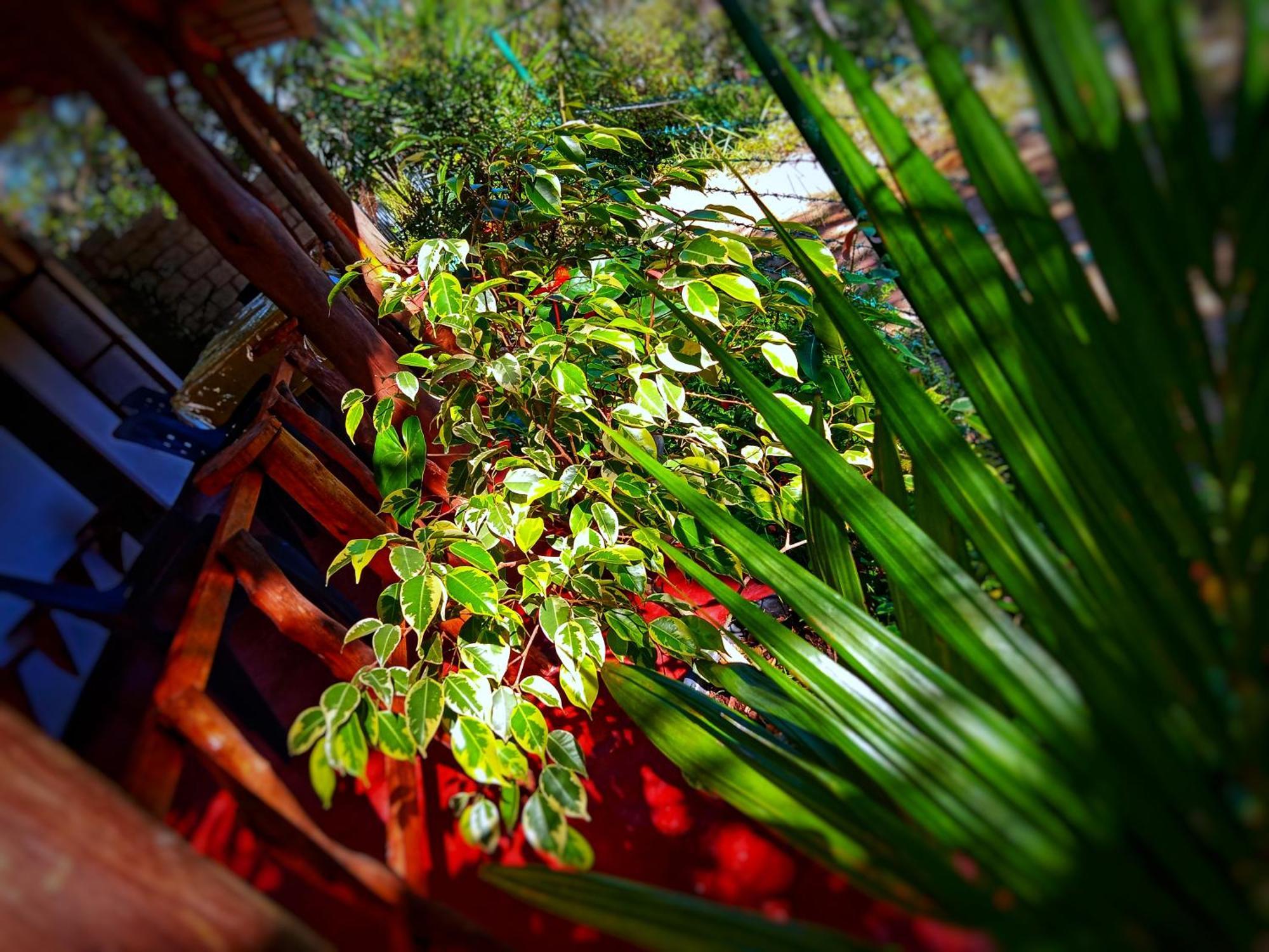 New Rose Villa Bandarawela เอลลา ภายนอก รูปภาพ