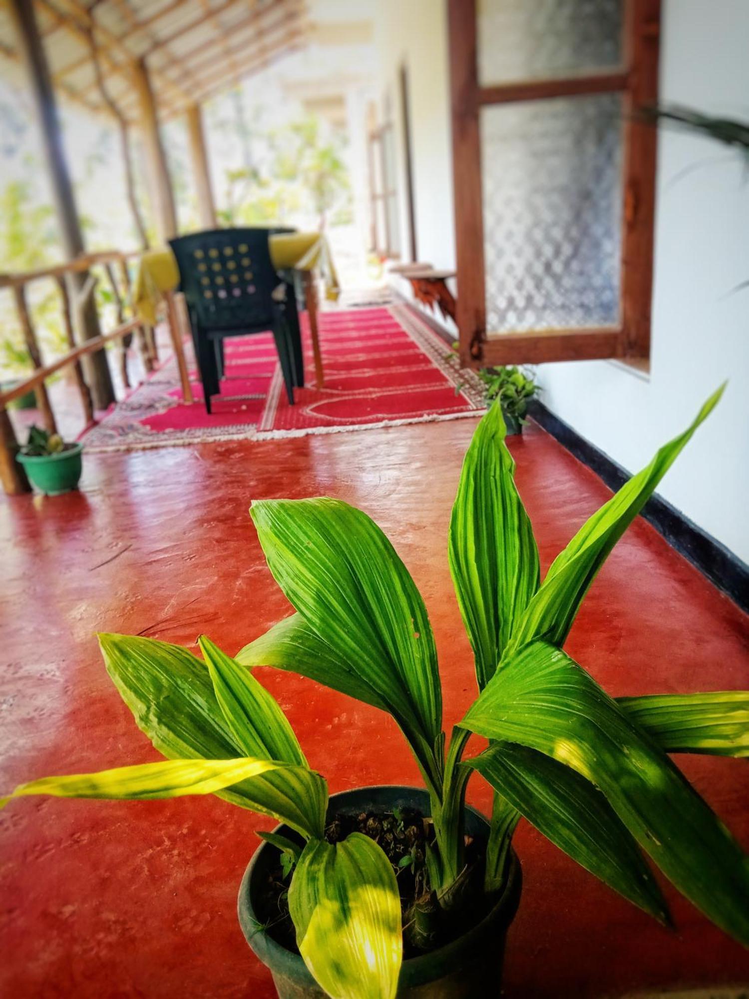 New Rose Villa Bandarawela เอลลา ภายนอก รูปภาพ