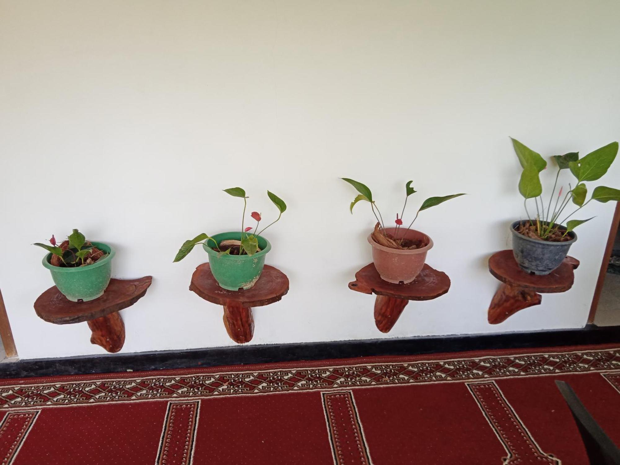 New Rose Villa Bandarawela เอลลา ภายนอก รูปภาพ