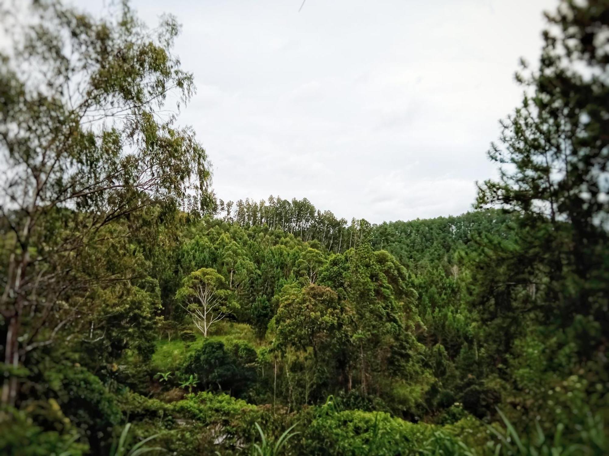 New Rose Villa Bandarawela เอลลา ภายนอก รูปภาพ