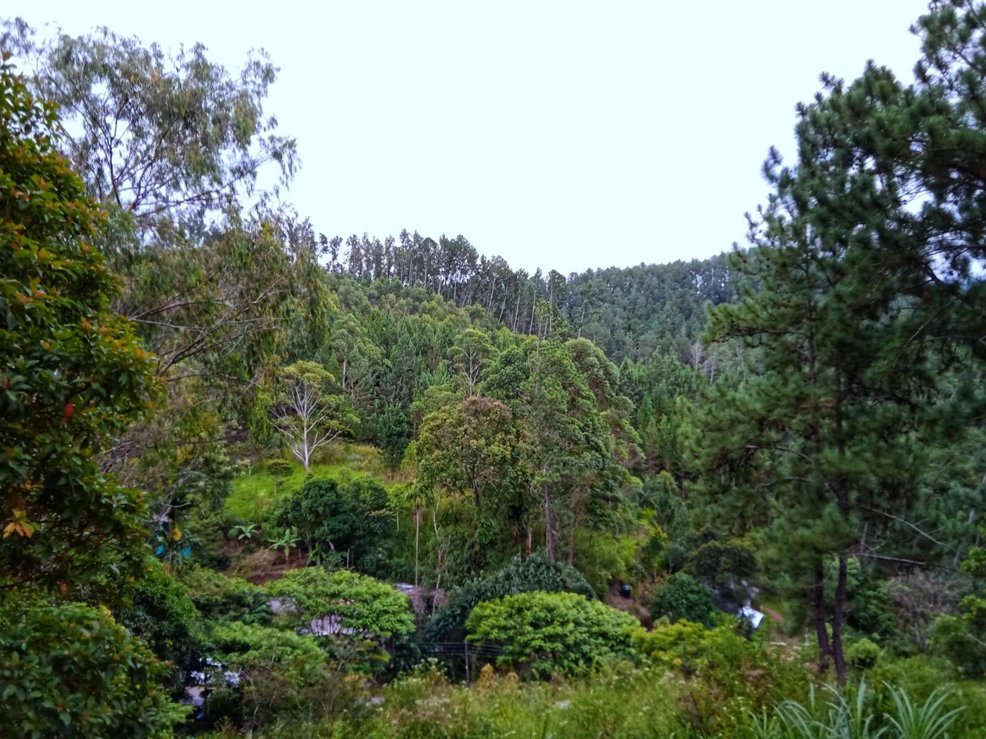 New Rose Villa Bandarawela เอลลา ภายนอก รูปภาพ
