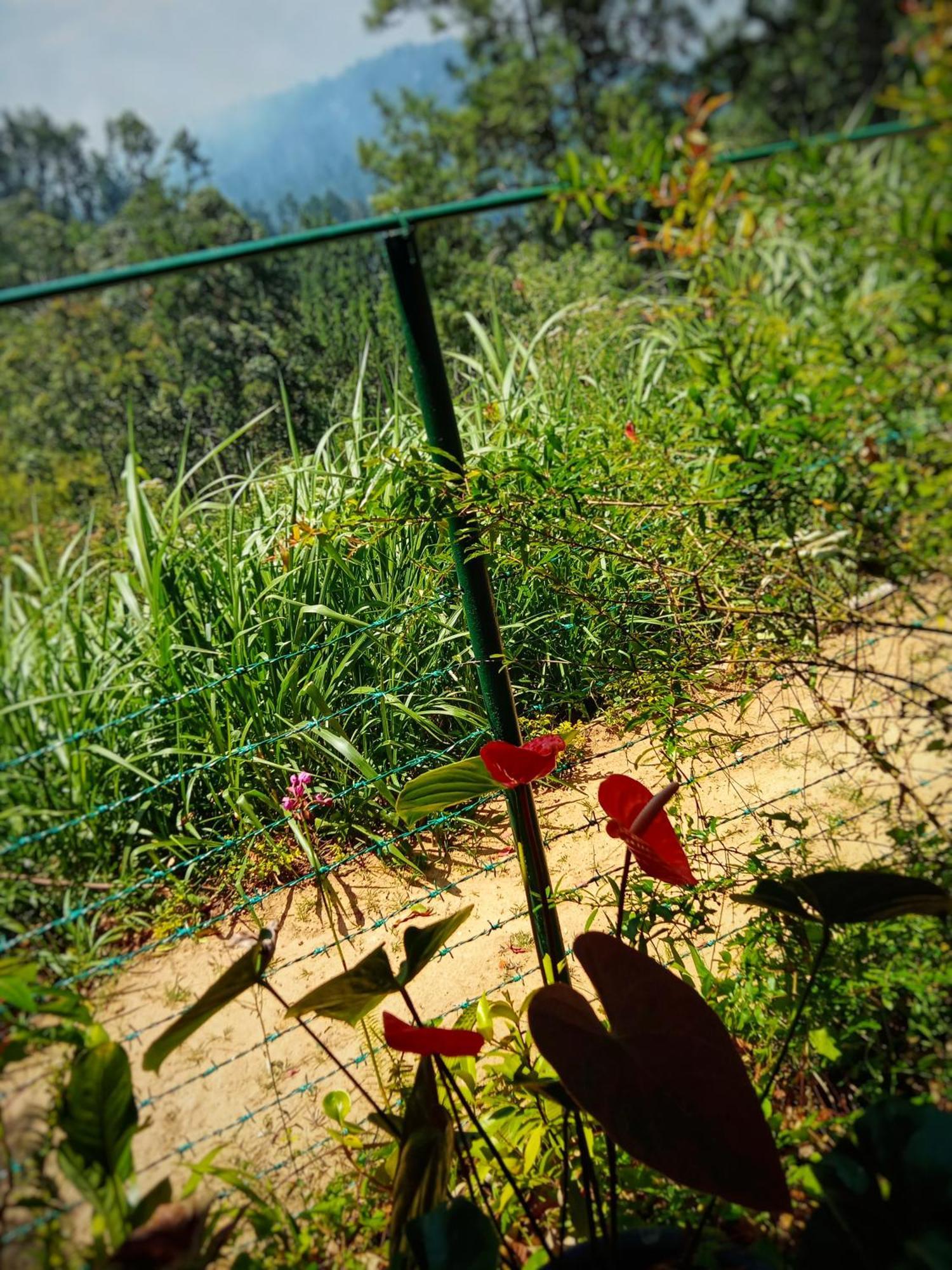 New Rose Villa Bandarawela เอลลา ภายนอก รูปภาพ