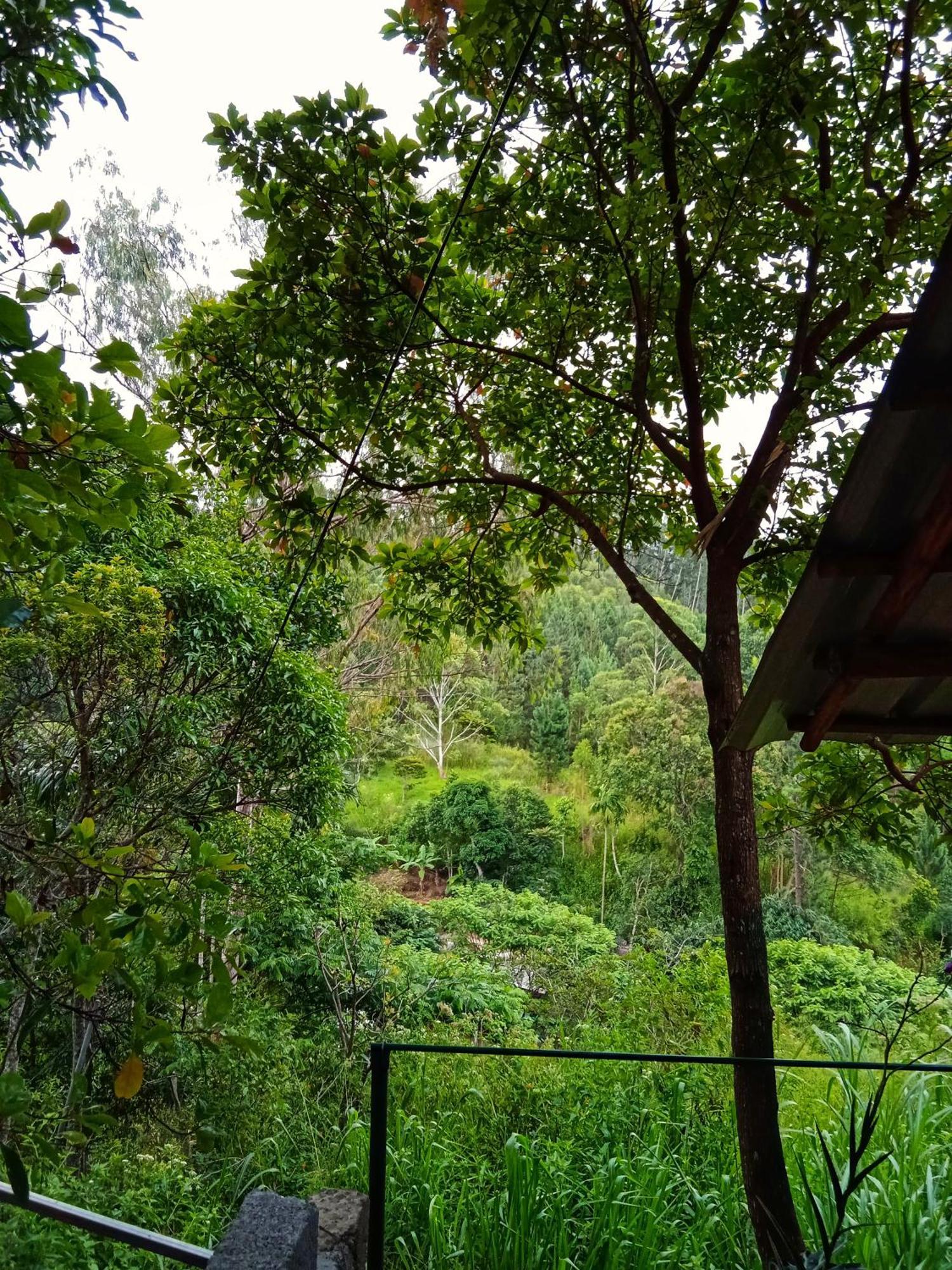 New Rose Villa Bandarawela เอลลา ภายนอก รูปภาพ