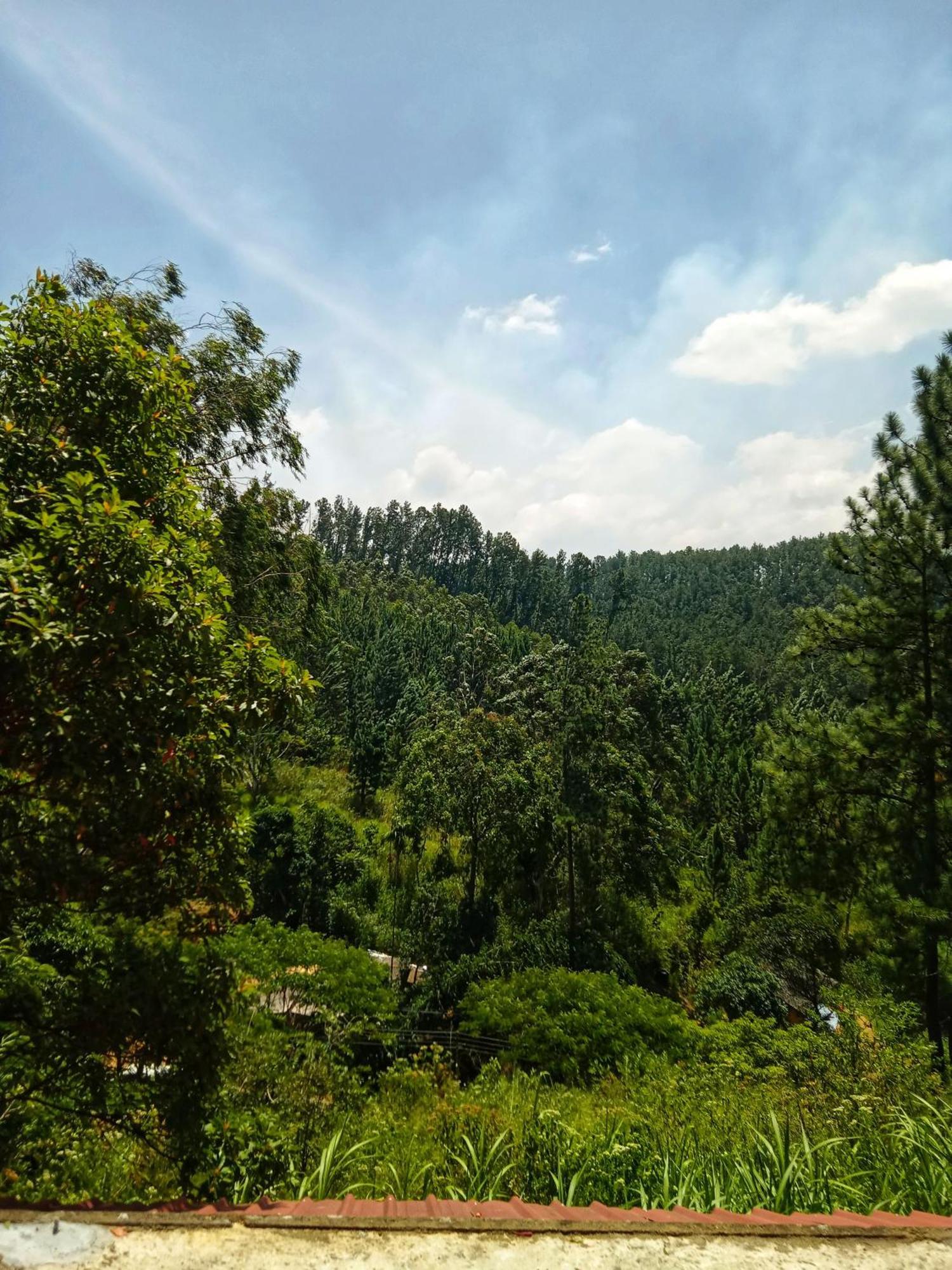 New Rose Villa Bandarawela เอลลา ภายนอก รูปภาพ